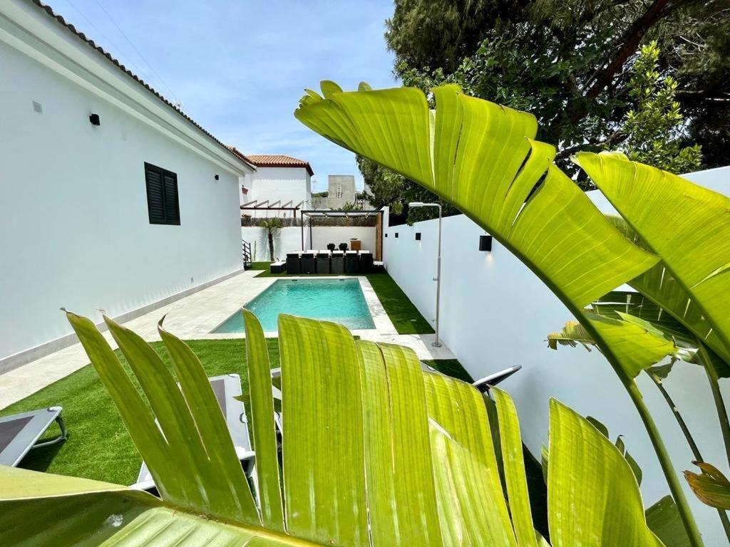 Villa Pimienta, Chalet De Lujo A 100 Metros Del Mar Чиклана-де-ла-Фронтера Екстер'єр фото